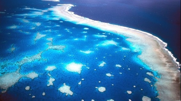 �󱤽�(ͼ)���걥����Ⱦ��в