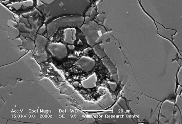 Nakhla火星陨石的扫面电镜图像,显示一个奇特的卵形结构。