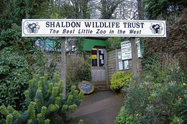 Ӣ�����Ŀ�����԰����٪���޺�3��̥