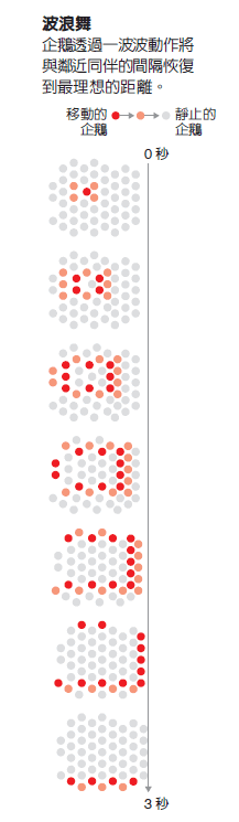 �ϼ��޻ʵ����ϲ������һ�� ����һֻ�ƶ�������Ҳ�ᵼ�����������ŵ���λ��