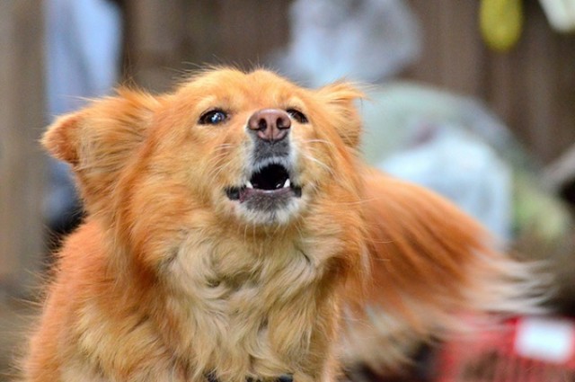 Ȯ�����̺�����Ҫ����Ϣ