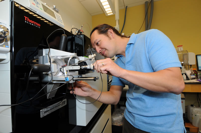 海洋微生物是如何对有限养分做出反应的