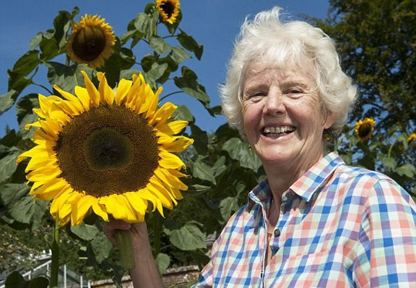 Ӣ����̫Ż����Ѫ30����ֲ��һ�־������տ�������¹��