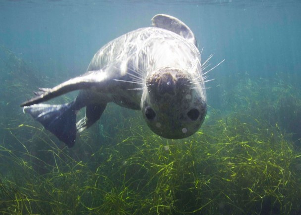 �������ھ�ͷǰ�ڳ������ʿ��