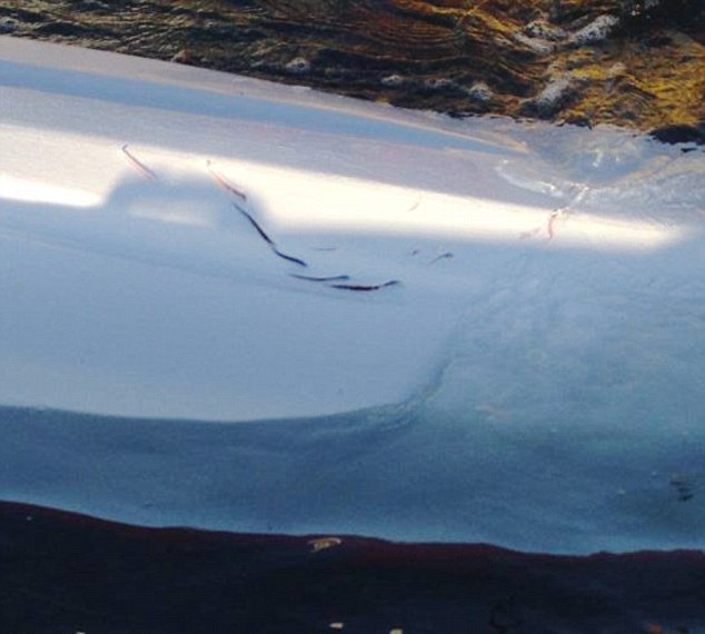 ��ľ�۵ײ�������ҧ�۷ǳ����ˡ�