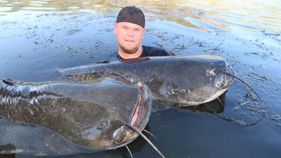 在与两条鲇鱼合影后,哈特梅尔将它们放生。