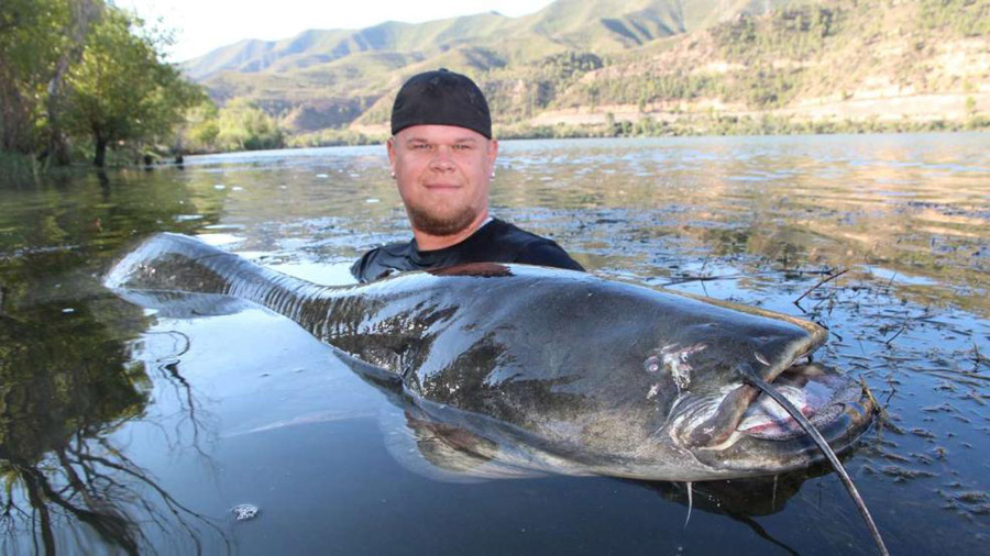 哈梅尔特和他捕获的鲇鱼,其体长达到了2.15米。