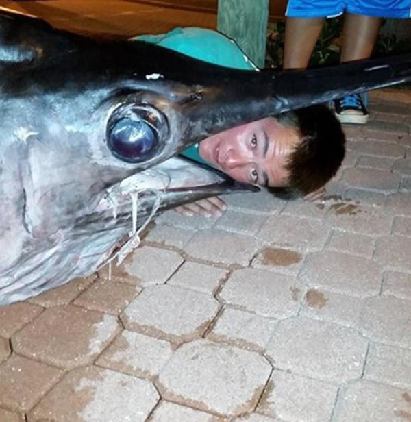 美国17岁少年在佛罗里达海岸捕到一条重达314公斤的剑鱼