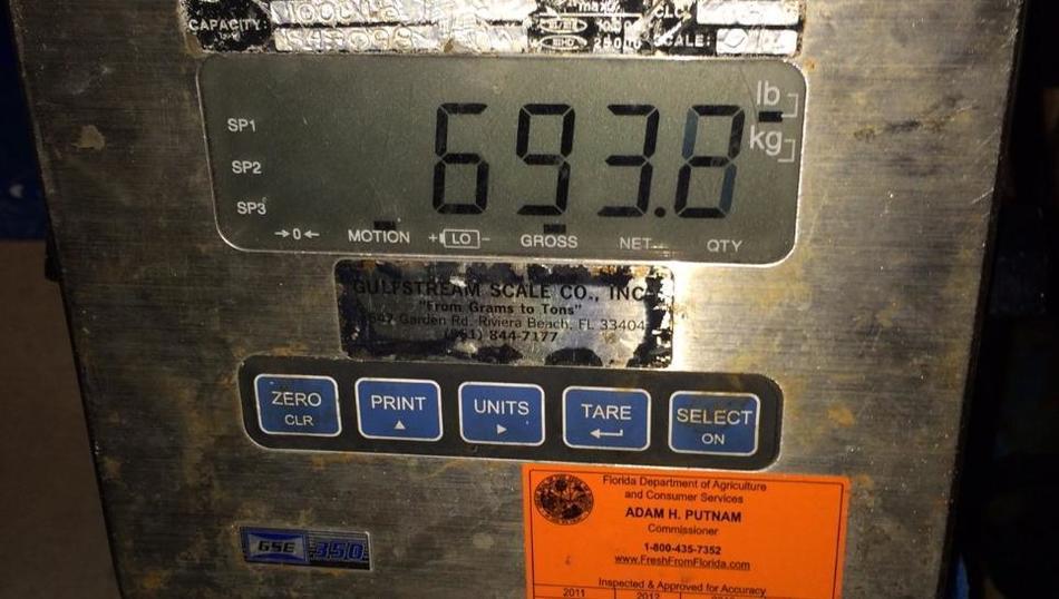 美国17岁少年在佛罗里达海岸捕到一条重达314公斤的剑鱼