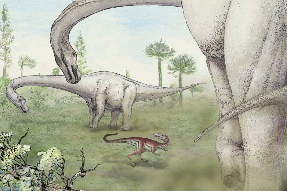 阿根廷发现比波音747客机还重的7700万年前“无畏龙”化石