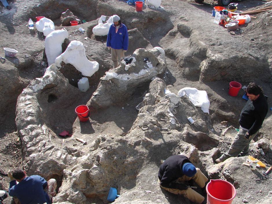 阿根廷发现比波音747客机还重的7700万年前“无畏龙”化石