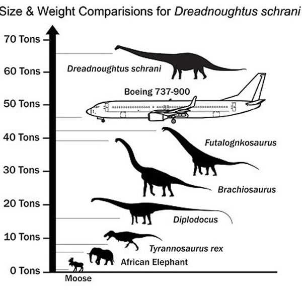 阿根廷发现比波音747客机还重的7700万年前“无畏龙”化石