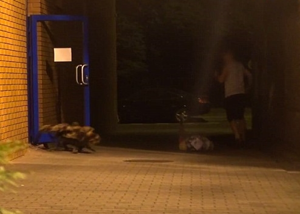 ���ӿ��ź����ϻ������ŵö������еĶ������ܡ�