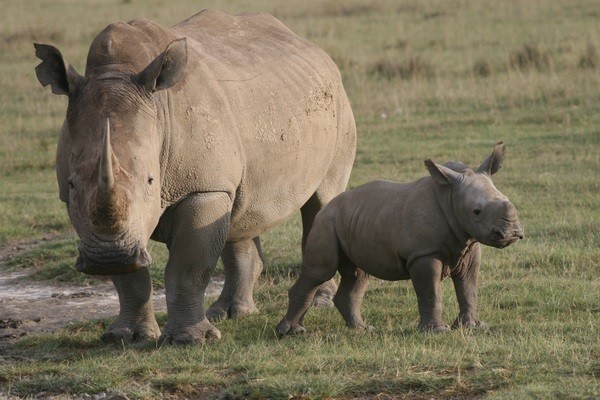 �����ǹ���͵�Դ���Ϭţ���������� ��Ϊ���������ѡ�