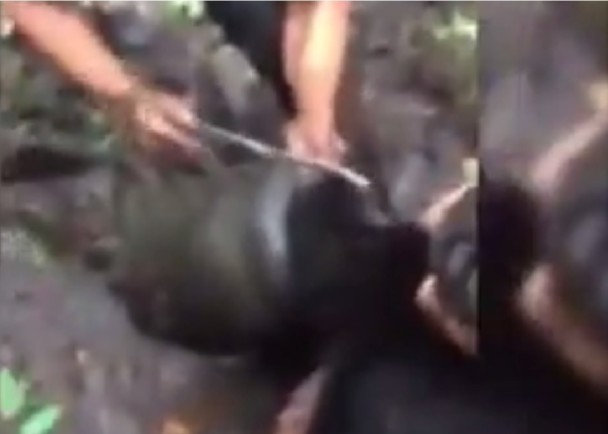 һ���幤�þ��Ӿ⿪����ͷ�ϵĽ�Ͱ