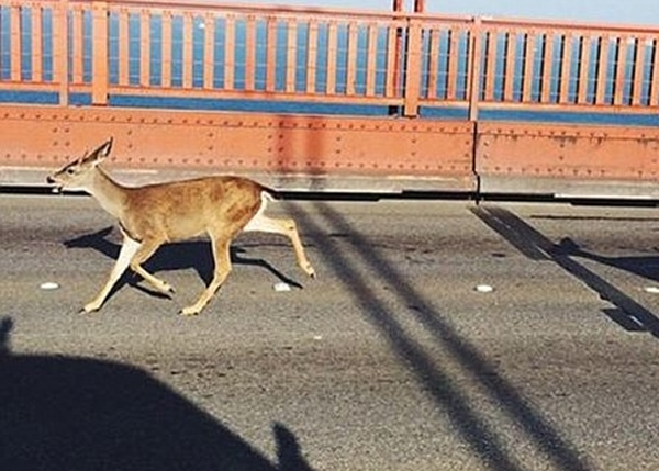 2ֻС¹Ŵ Ը̱ͨСʱ