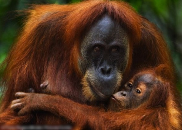 ���Ŵ�����ë����Ϊ���ȱ�Σ����