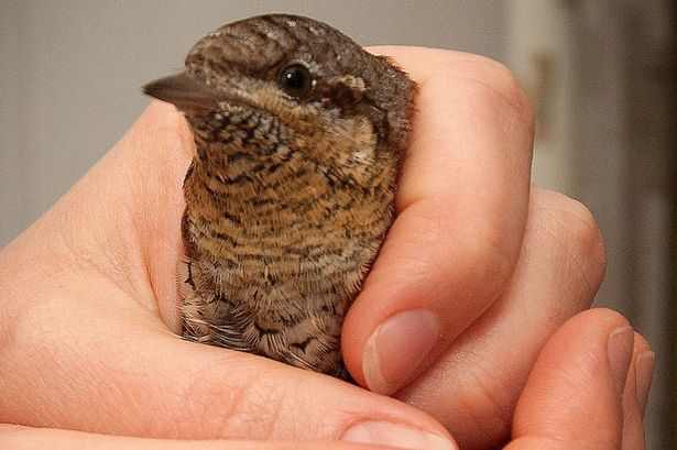 ��X���ʱ���޴󰭣����������ʧȥ������־������