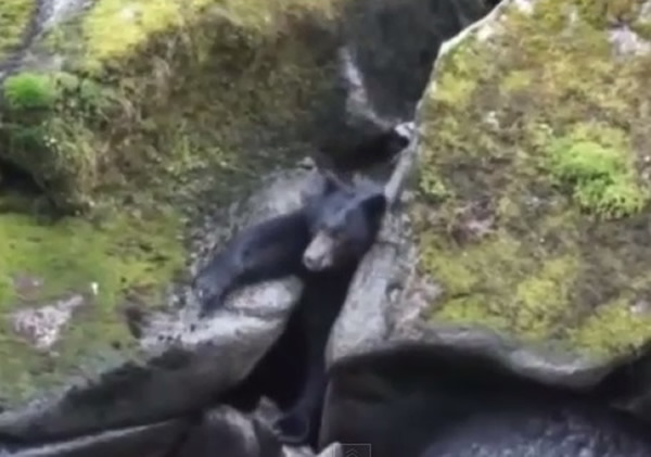 ��������˹����һֻ�����ɳ�̫�౻��ʯ��