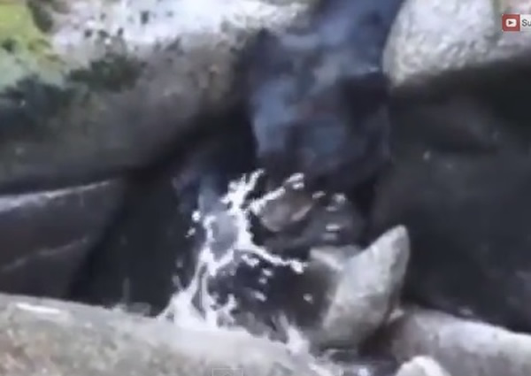 �����ĺ����ںӱ߼������㣬��Ȼ�Եá�