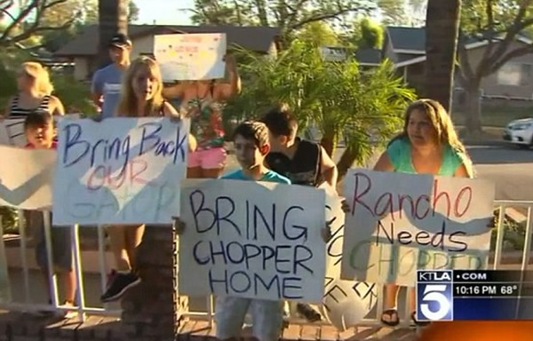 小孩子上街,争取将鳄鱼交还卡萨罗。