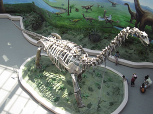 古生物博物馆壮大东北文化调性