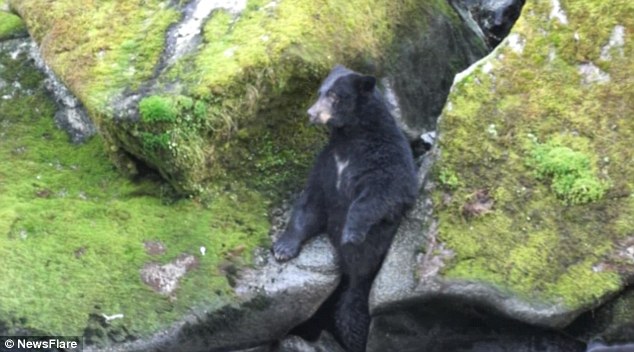 �¹��ο�����������Ϫ����ʱ����һֻΪץ�㿨����ʯ�м�Ĵ����