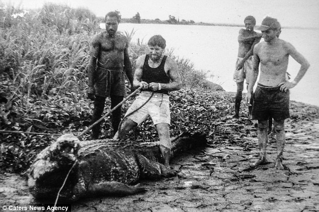 乔治与当地居民用绳子制服了凶猛的凯修斯