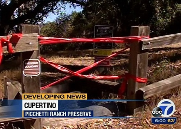 ��������6����ͯ��һֻ����ʨϮ��