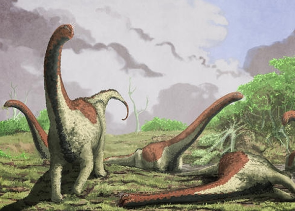 Rukwatitan bisepultus��ԭͼ