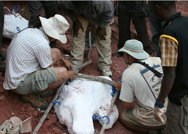 ����ѧ�ߺ��е��ڷ��޷���̩̹�������Ŀ�����ʯ