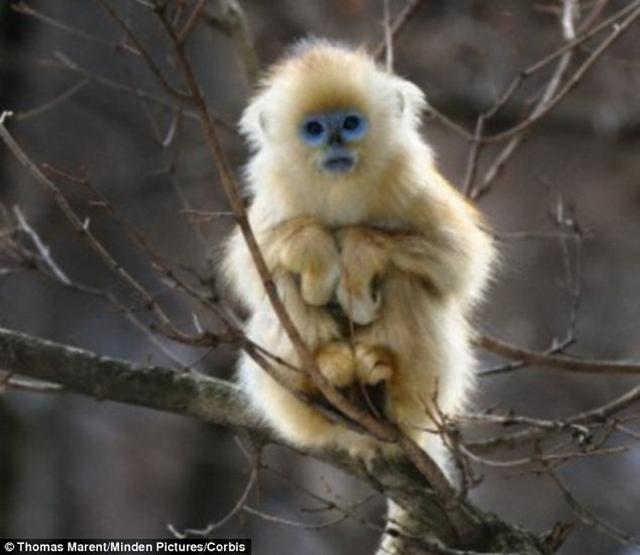 �����о���������������������ٶȿ�һǧ��