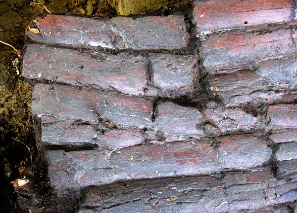 ˹ǳǧ֮õϡʿս 𶯿Ž