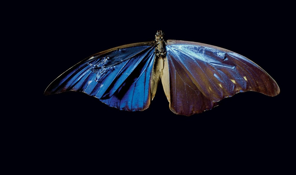 �����ĳ����ˮЧ��̫�� ��δ������ɻ���ģ��