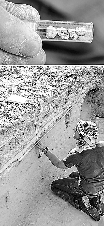 淡水蜗牛(上)和湖水沉积物显示古阿拉伯气候湿润。