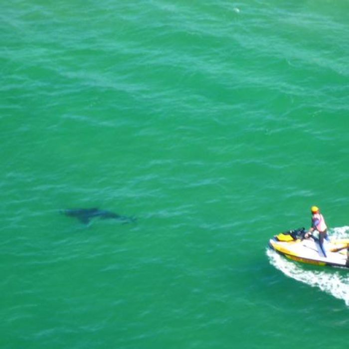 Ӣ��������Ӿʱ��������Ϯ������