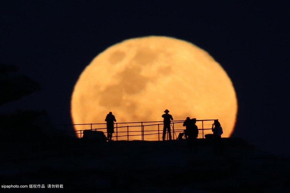 �Ĵ�����Ϥ���Ϻ�̲���𳬼�����