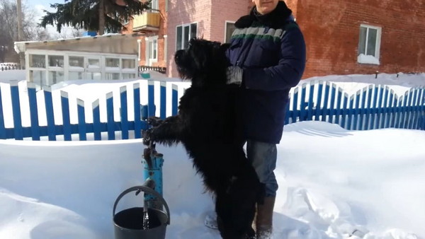 ս塱Ĺ˹һֻѩȮȡˮ