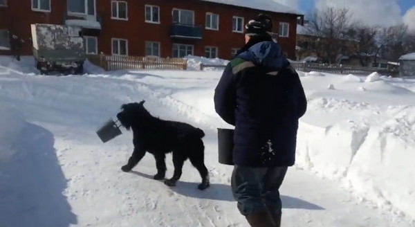 ս塱Ĺ˹һֻѩȮȡˮ