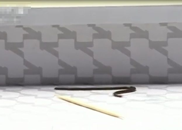 ����ʡǭ���ϲ��������������ݷ��ֳ����䡰ä�ߡ�