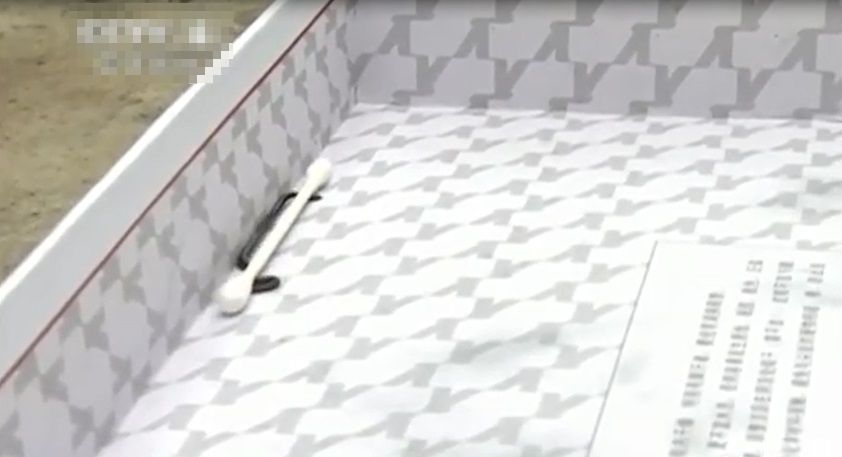 ����ʡǭ���ϲ��������������ݷ��ֳ����䡰ä�ߡ�