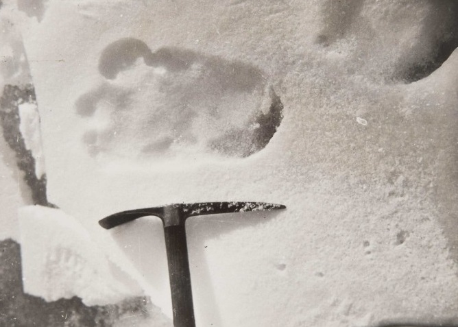 ����Ƭ�ϵ���ӡ���ݳ����ɴ�˵���ϲ������ɽѩ�ˡ������µġ�