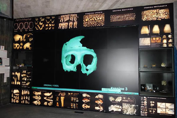 Krapina遗址博物馆古人类化石的影像展示