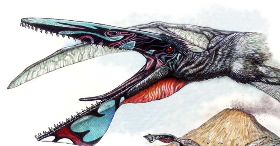 阿凡达伊卡兰翼龙(Ikrandraco avatar gen. et sp. nov.)复原图