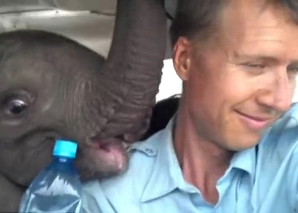 ���޴���͵���������� ����С������ɻ������ڻ�ʦ����