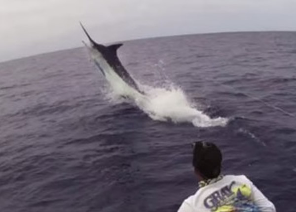 �������񲫶���3Сʱ����������͵Ĵ�������ǹ��