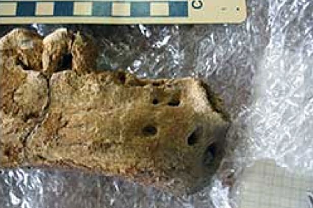 ѧӢʯֶΪɳĮֵ1900ǰʷǰ촽