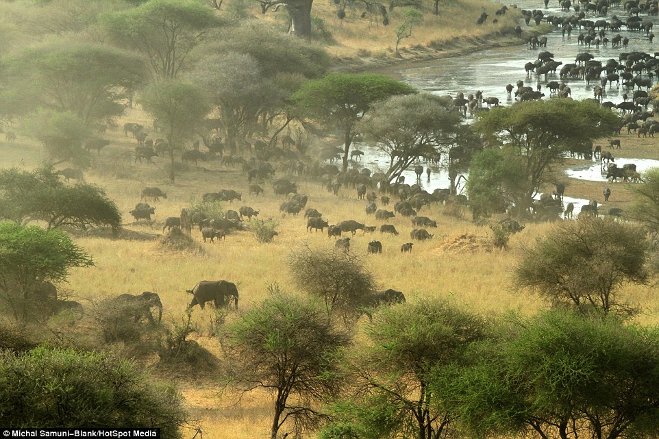 ��ɫ�ж���ѧ����̹ɣ���ǲ�׽��Ǩ����ȺΪ��ˮԴ����500ͷˮţ��׳�۳���