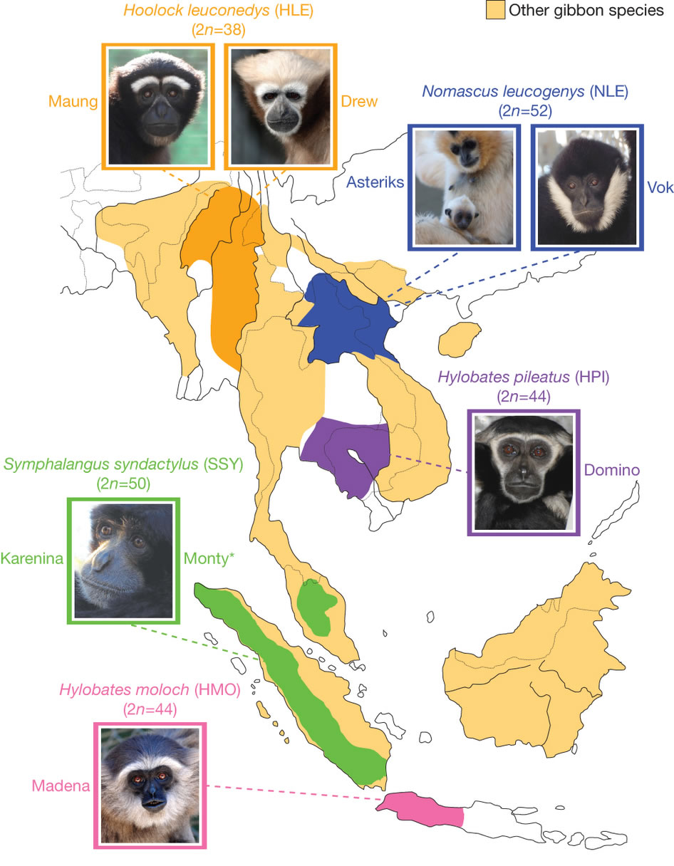 �������ȴ������еĳ���Գ�Ļ�������������