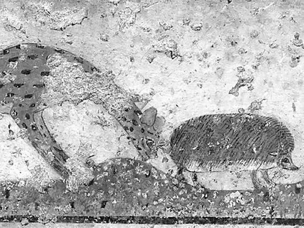 λڹŰ̩նĹѨеһԱŴ⬵ıڻ